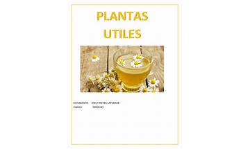 Plantas Utiles for Windows - Download it from Habererciyes for free